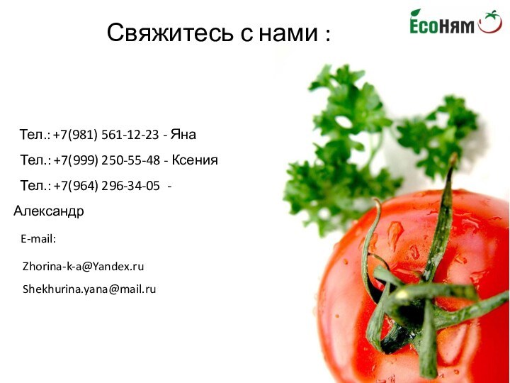 Свяжитесь с нами : Тел.: +7(981) 561-12-23 - Яна Тел.: +7(999) 250-55-48