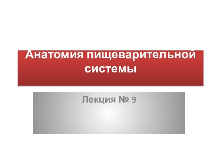 Анатомия пищеварительной системы Лекция № 9