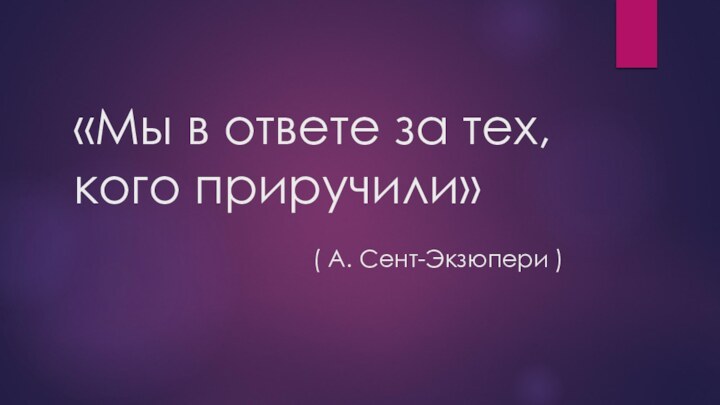 «Мы в ответе за тех, кого приручили»