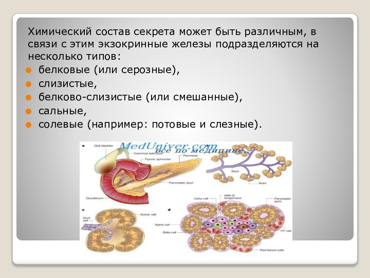 Химический состав секрета может быть различным, в связи с этим экзокринные железы