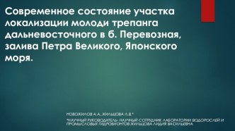 Современное состояние участка локализации молоди трепанга дальневосточного в б. Перевозная залива Петра Великого Японского моря