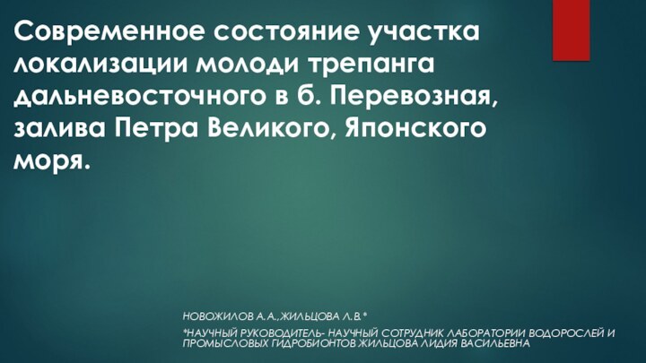 Современное состояние участка локализации молоди трепанга дальневосточного в б. Перевозная, залива Петра