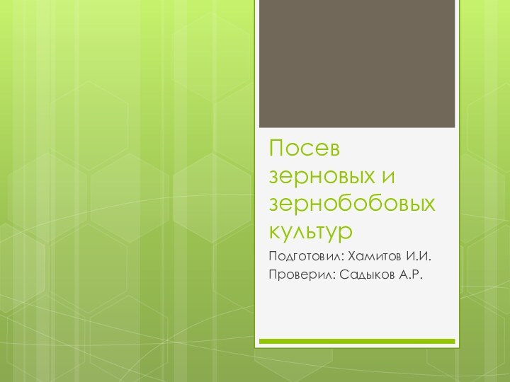 Посев зерновых и зернобобовых культурПодготовил: Хамитов И.И.Проверил: Садыков А.Р.