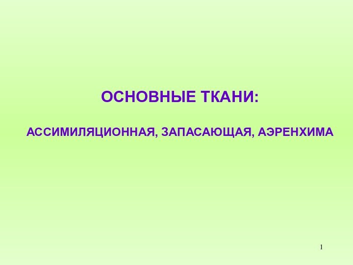 ОСНОВНЫЕ ТКАНИ:АССИМИЛЯЦИОННАЯ, ЗАПАСАЮЩАЯ, АЭРЕНХИМА