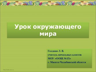 Урок окружающего мира. Кто такие птицы