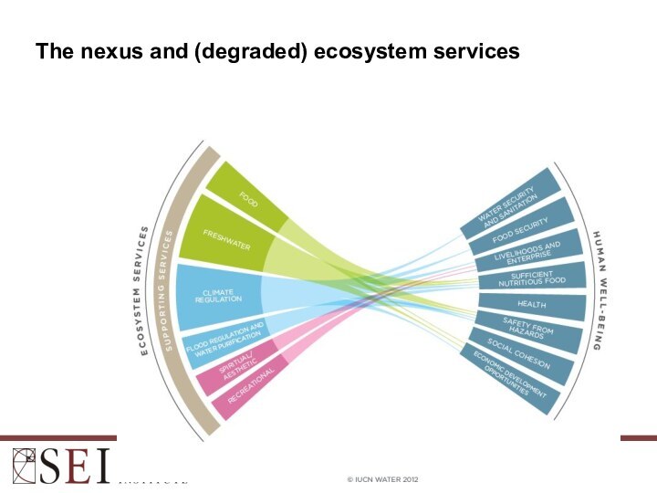 The nexus and (degraded) ecosystem services