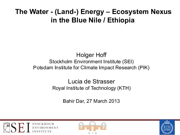 The Water - (Land-) Energy – Ecosystem Nexusin the Blue Nile