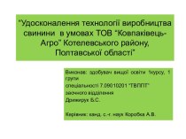 Удосконалення технології виробництва свинини в умовах ТОВ “Ковпаківець-Агро”