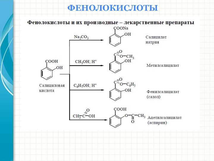 ФЕНОЛОКИСЛОТЫ