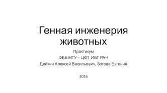 Генная инженерия животных