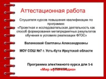 Аттестационная работа. Программа элективного курса Мир мультимедиа. (5-6 класс)