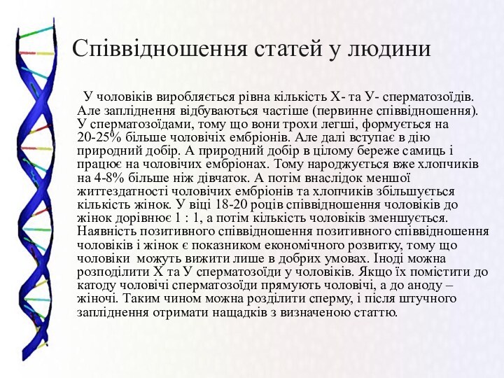 Співвідношення статей у людини	У чоловіків виробляється рівна кількість Х- та У- сперматозоїдів.