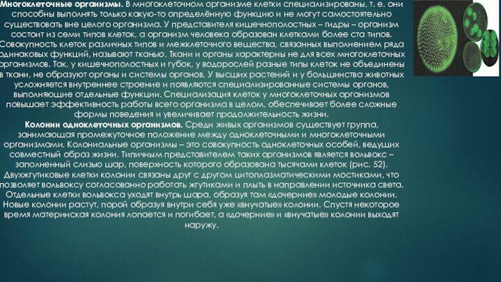 Многоклеточные организмы. В многоклеточном организме клетки специализированы, т. е. они способны выполнять только какую-то