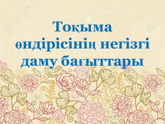 Тоқыма өндірісінің негізгі даму бағыттары