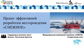 Нефтегазовое дело. Проект эффективной разработки месторождения СНЕЖНОЕ