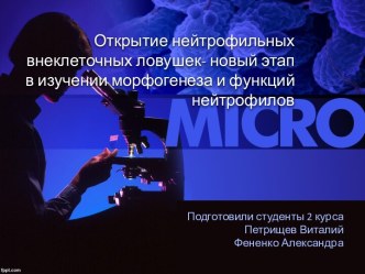 Открытие нейтрофильных внеклеточных ловушек - новый этап в изучении морфогенеза и функций нейтрофилов