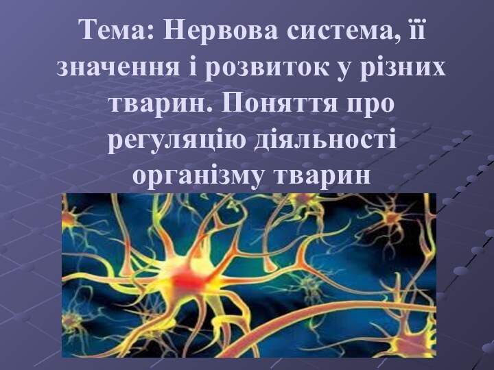 Тема: Нервова система, її значення і розвиток у різних тварин. Поняття про регуляцію діяльності організму тварин