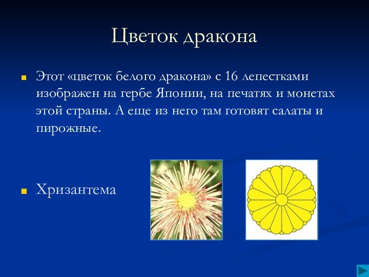 Цветок драконаЭтот «цветок белого дракона» с 16 лепестками изображен на гербе Японии,