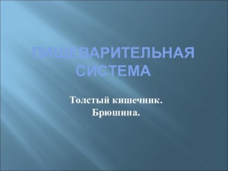 Толстый кишечник. Брюшина