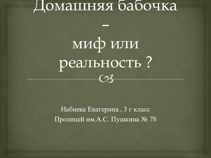 Домашняя бабочка  –  миф или реальность ? Набиева Екатерина ,