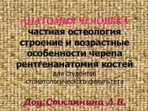 Частная остеология строение и возрастные особенности черепа рентгенанатомия костей