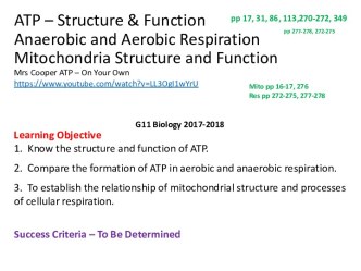 ATP – Structure & Function/ Anaerobic and Aerobic Respiration Mitochondria Structure and Function