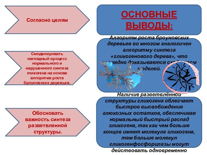 Алгоритм роста броуновских деревьев во многом аналогичен алгоритму синтеза «гликогенового дерева», что