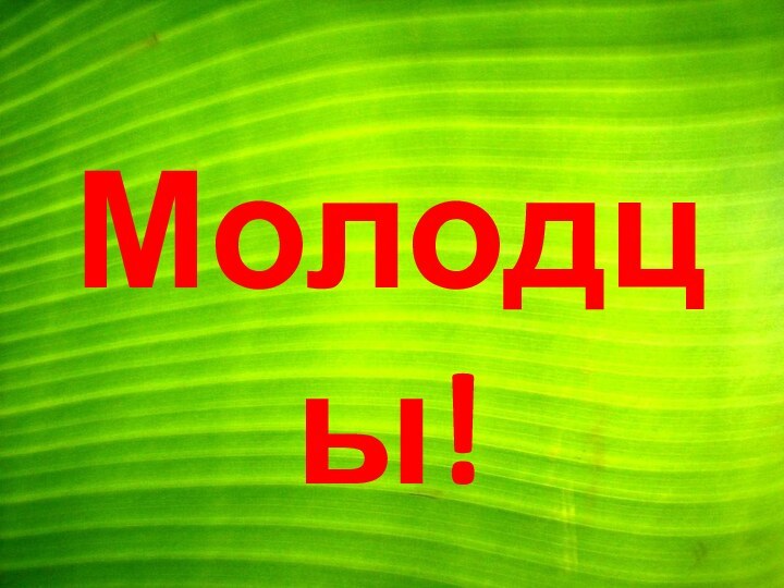 Молодцы!