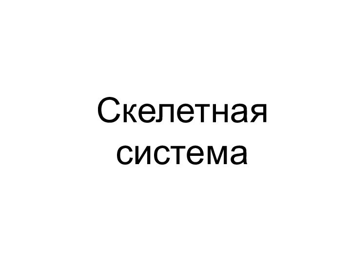 Скелетная система