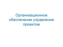 Организационное обеспечение управления проектом