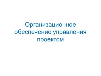 Организационное обеспечение управления проектом