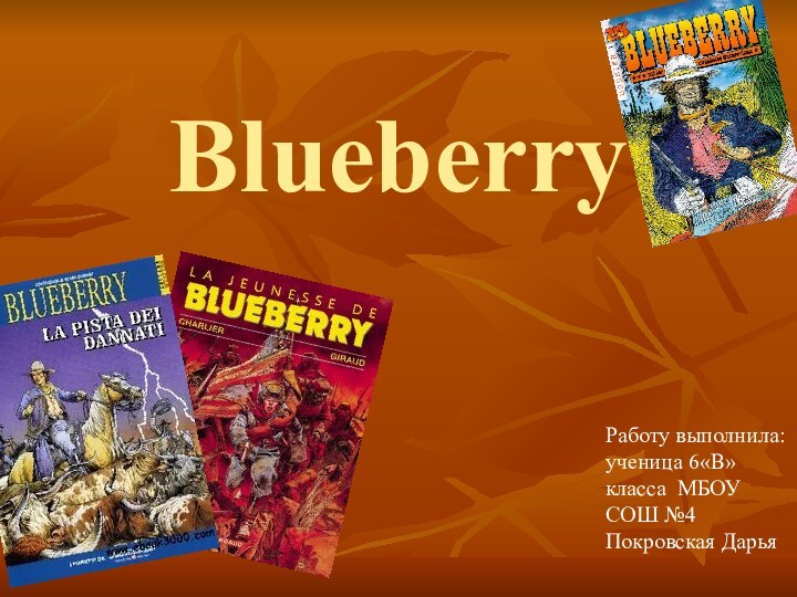 BlueberryРаботу выполнила: ученица 6«В» класса МБОУ СОШ №4    Покровская Дарья