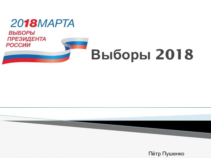 Выборы 2018Пётр Пушенко