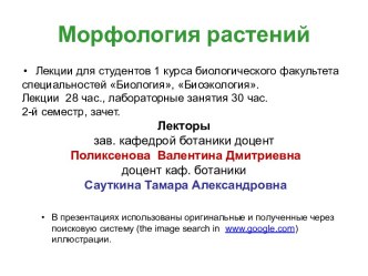 Морфология растений