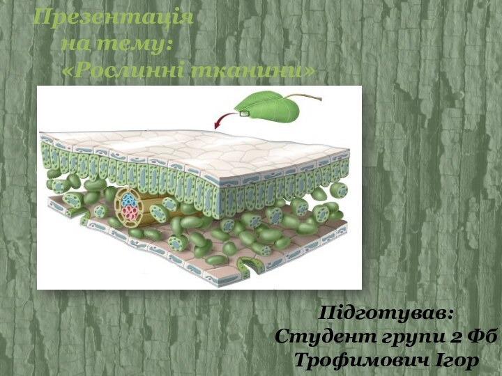 Презентація   на тему:   «Рослинні тканини»Підготував:Студент групи 2 ФбТрофимович Ігор