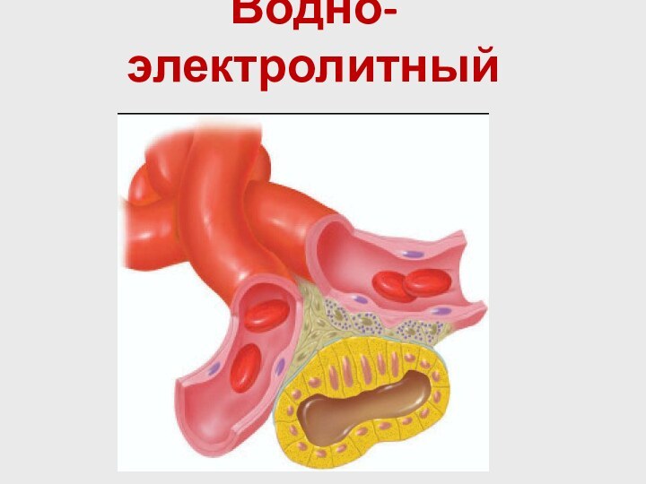 Водно-электролитный гомеостаз