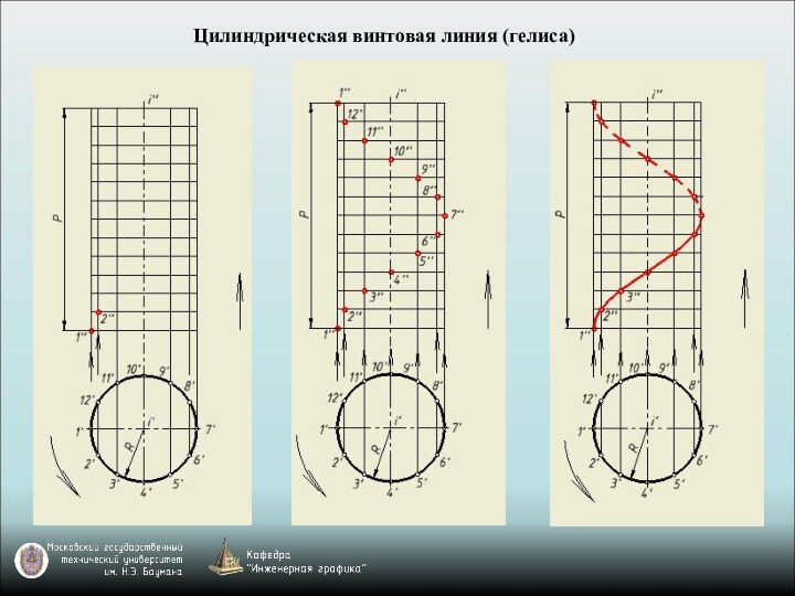 Цилиндрическая винтовая линия (гелиса)