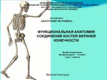 Функциональная анатомия соединений костей верхней конечности