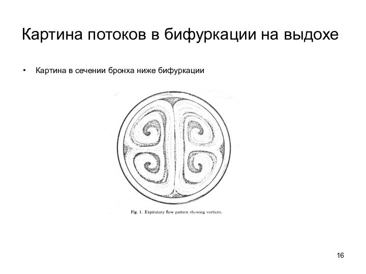 Картина потоков в бифуркации на выдохеКартина в сечении бронха ниже бифуркации