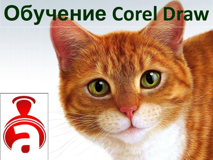 Обучение Corel Draw