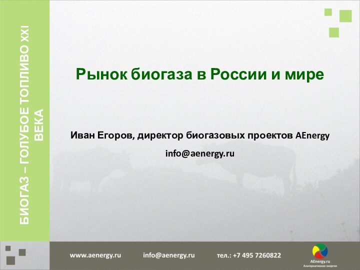Рынок биогаза в России и миреИван Егоров, директор биогазовых проектов AEnergyinfo@aenergy.ruБИОГАЗ – ГОЛУБОЕ ТОПЛИВО XXI ВЕКА
