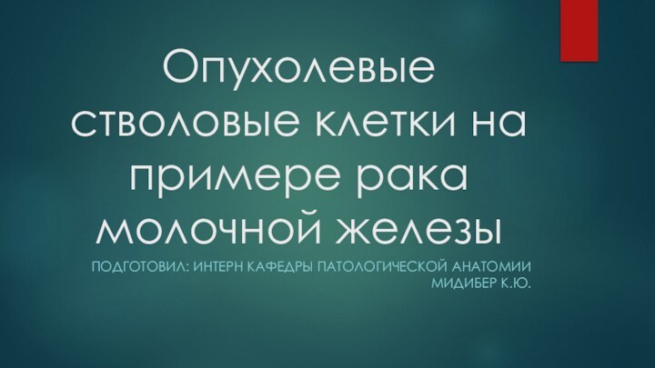 Опухолевые стволовые клетки на примере рака молочной железыПОДГОТОВИЛ: ИНТЕРН КАФЕДРЫ ПАТОЛОГИЧЕСКОЙ АНАТОМИИ МИДИБЕР К.Ю.