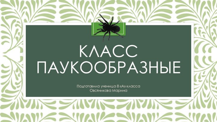 КЛАСС  ПАУКООБРАЗНЫЕПодготовила ученица 8 «А» классаОвсяникова Марина