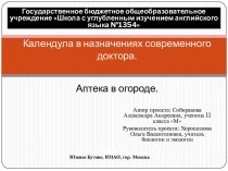 Календула в назначениях современного доктора. Аптека в огороде