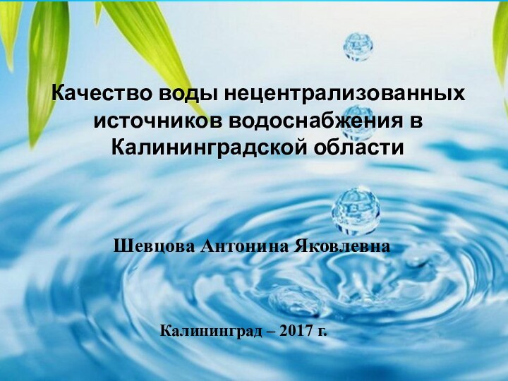 Качество воды нецентрализованных источников водоснабжения в Калининградской областиШевцова Антонина ЯковлевнаКалининград – 2017 г.