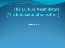 The Culture Assimilators (The Intercultural sensitizer)