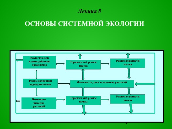 Фотосинтез, рост и развитие растенийЭкологические взаимодействия организмовПочвенное питание растенийТермический режим посеваТермический режим