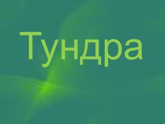 Тундра