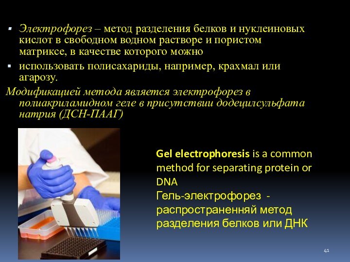 Электрофорез – метод разделения белков и нуклеиновых кислот в свободном водном растворе