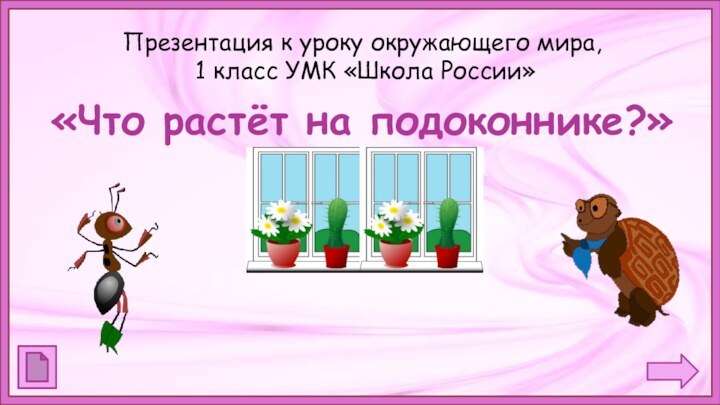 Презентация к уроку окружающего мира,  1 класс УМК «Школа России»«Что растёт на подоконнике?»